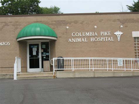 Caring for Your Furry Friends: Visit Columbia Pike Animal Hospital in Annandale, VA